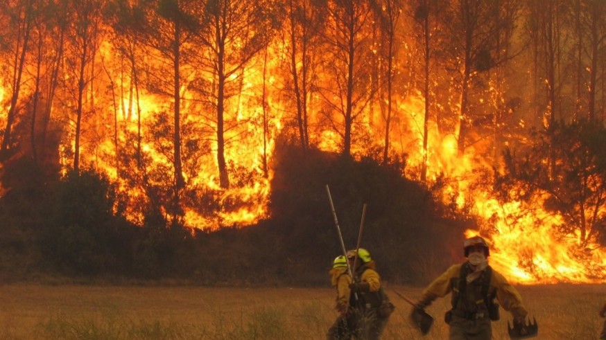 Más de 30 incendios forestales permanecen activos en nuestro país