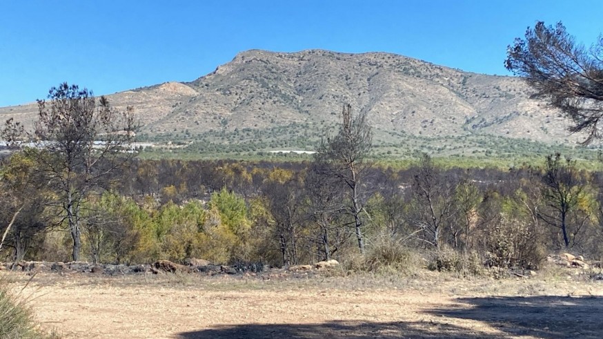 Javier Ramírez: "El llano de las cabras es una de las zonas de caza de las rapaces de Sierra Espuña"