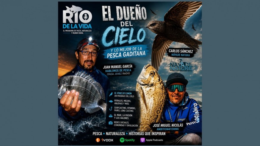 El Vencejo Común con Nayade Natura, Surfcasting desde Cadiz con Hablemos de pesca y Ambito4Fishing