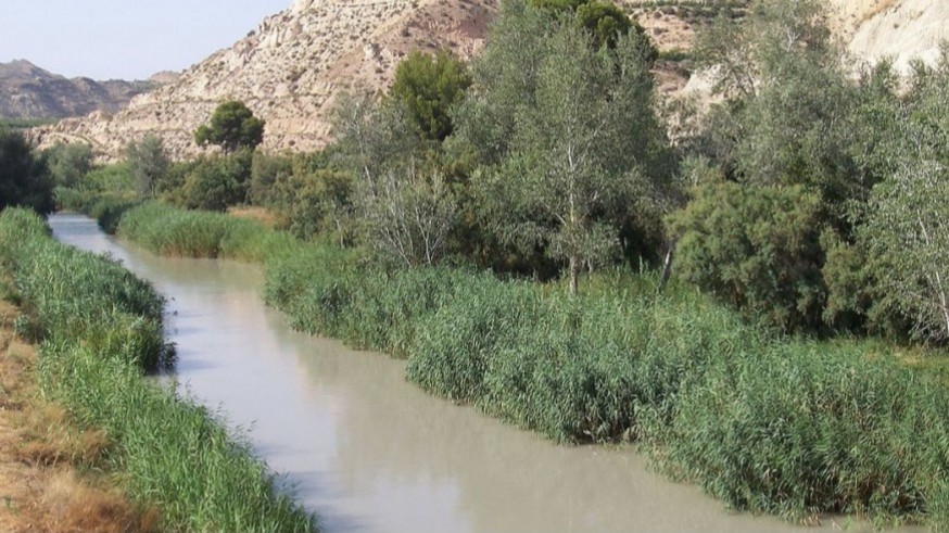 Ecologistas en Acción exige mayor control en sustancias para tareas agrícolas en entornos acuáticos