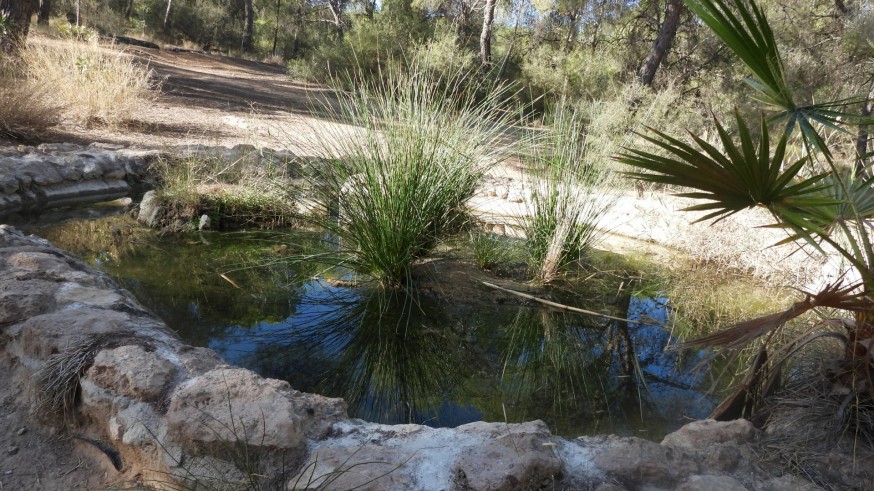 La Región de Murcia se suma al evento global de la Semana del Agua