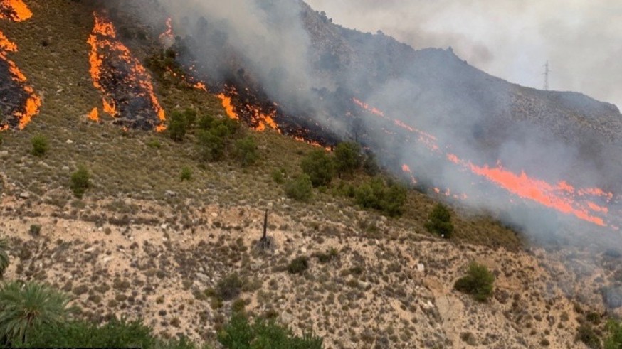 El fuego originado la Sierra de Salitre en Ricote se ha extendido con rapidez por el viento