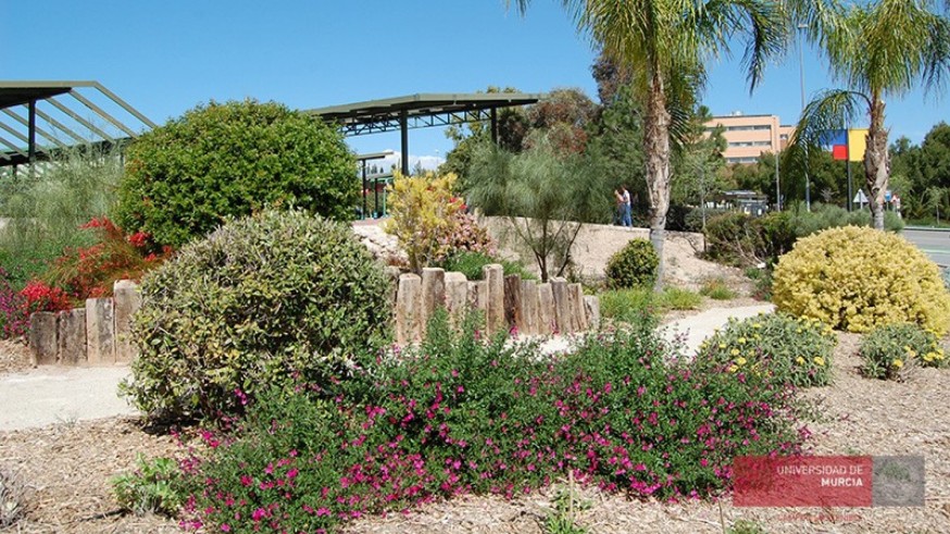 La magia de las plantas 'Un paseo por el jardín botánico de Espinardo (II parte)
