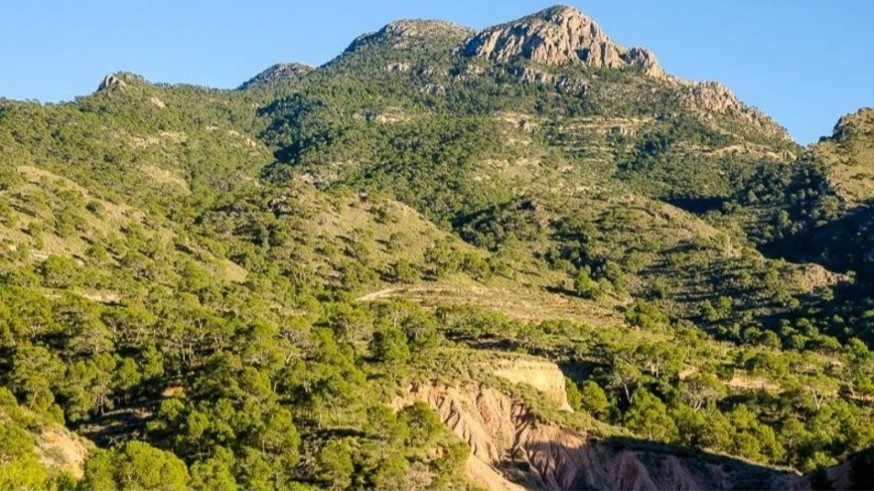 La sequía que sufre la sierra del Carche y las medidas a tomar