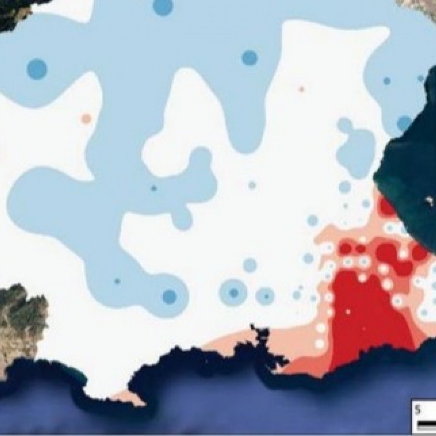 dos-asociaciones-alertan-sobre-la-presen