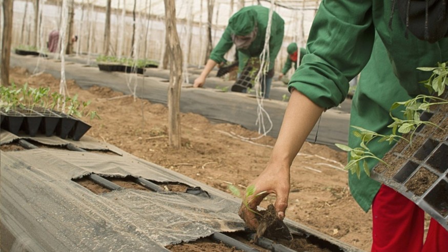 El 25% de las trabajadoras migrantes no cotiza