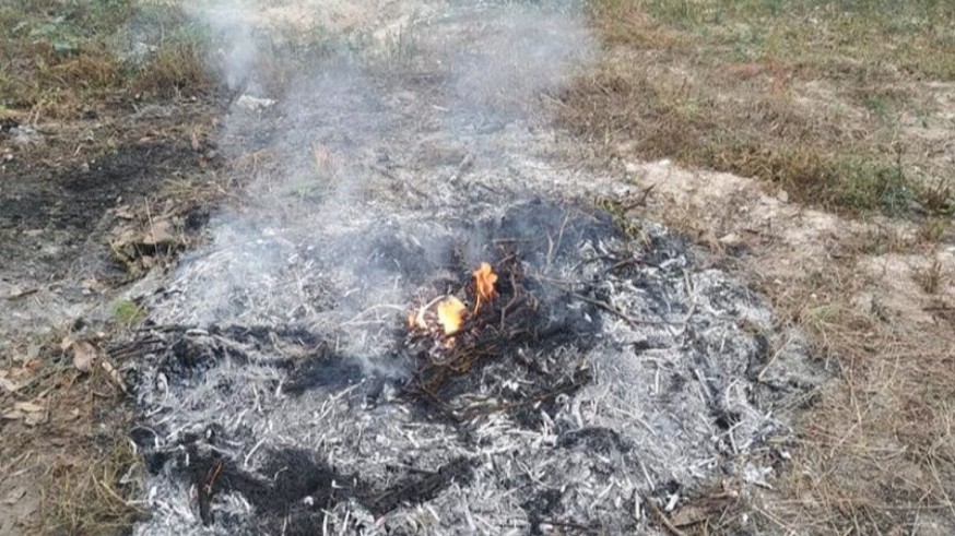 STOP QUEMAS considera un atentado a la salud pública el nuevo decreto de quemas agrícolas
