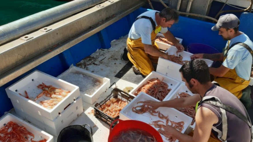 Paro de pescadores y lonjas por la política europea que limita la pesca de arrastre
