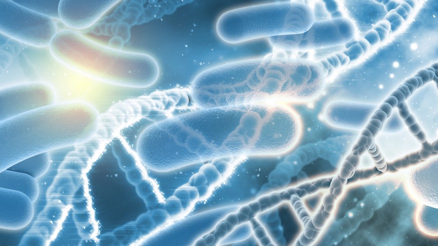 Una bacteria sobrevive cinco días en condiciones similares a las de Marte