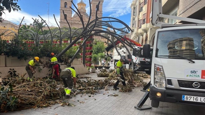 El viento provoca la caída de dos ramas del ficus de la plaza de Santo Domingo en Murcia sin provocar heridos