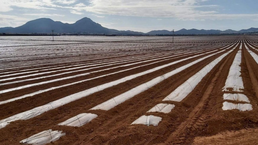 PP y Vox frenan en la Asamblea el informe sobre suelos agrícolas contaminados