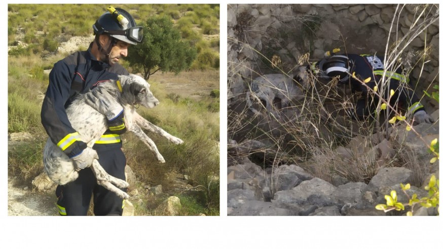Los bomberos rescatan a un perro que había caído a un pozo en Ulea 