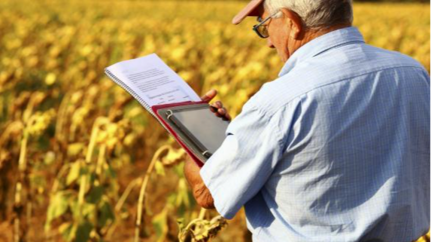Ocho millones de euros para impulsar proyectos para impulsar de desarrollo del medio rural
