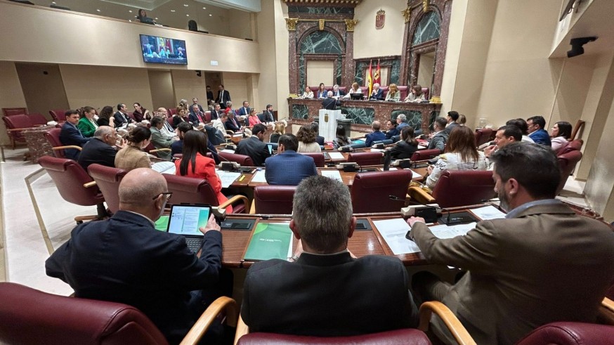 Siguen las diferencias PP-Vox para firmar los presupuestos de la Comunidad 