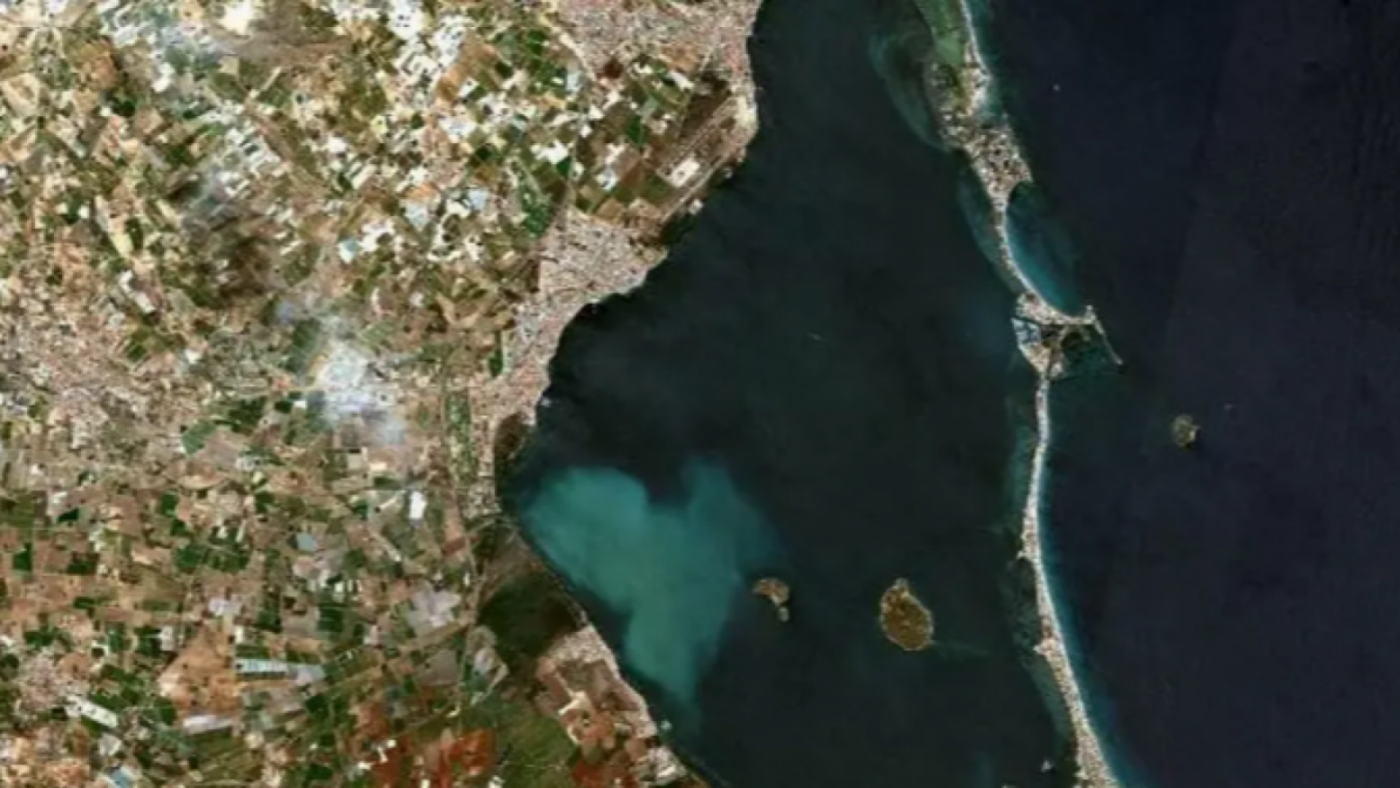 ANSE constata una ligera mejora en el Mar Menor