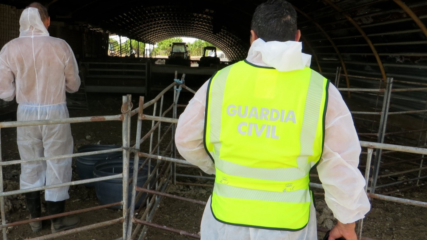 La granja de los 'horrores' en la que el Seprona ha encontrado 200 animales abandonados