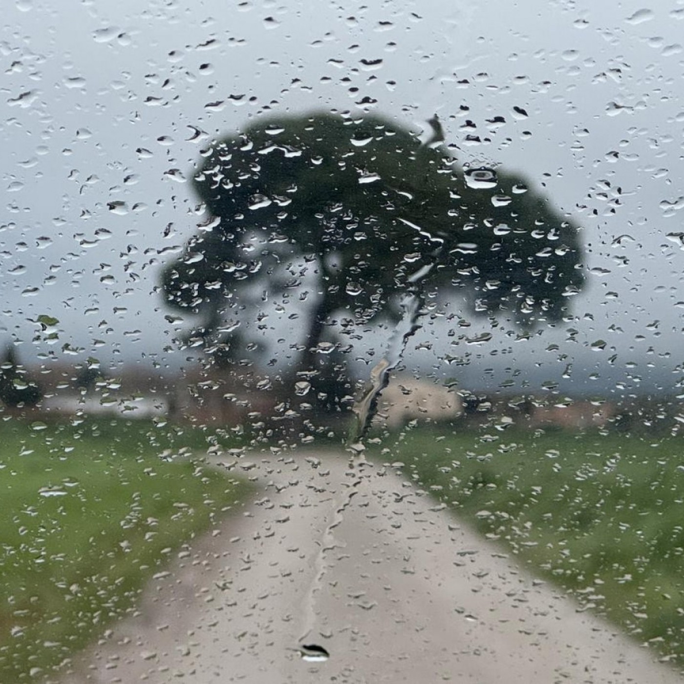 EL ROMPEOLAS T08C069 Lluvia, migas y paraguas "vintage": un sábado de radio con buen humor en Murcia (09/05/2026) — EL ROMPEOLAS cover