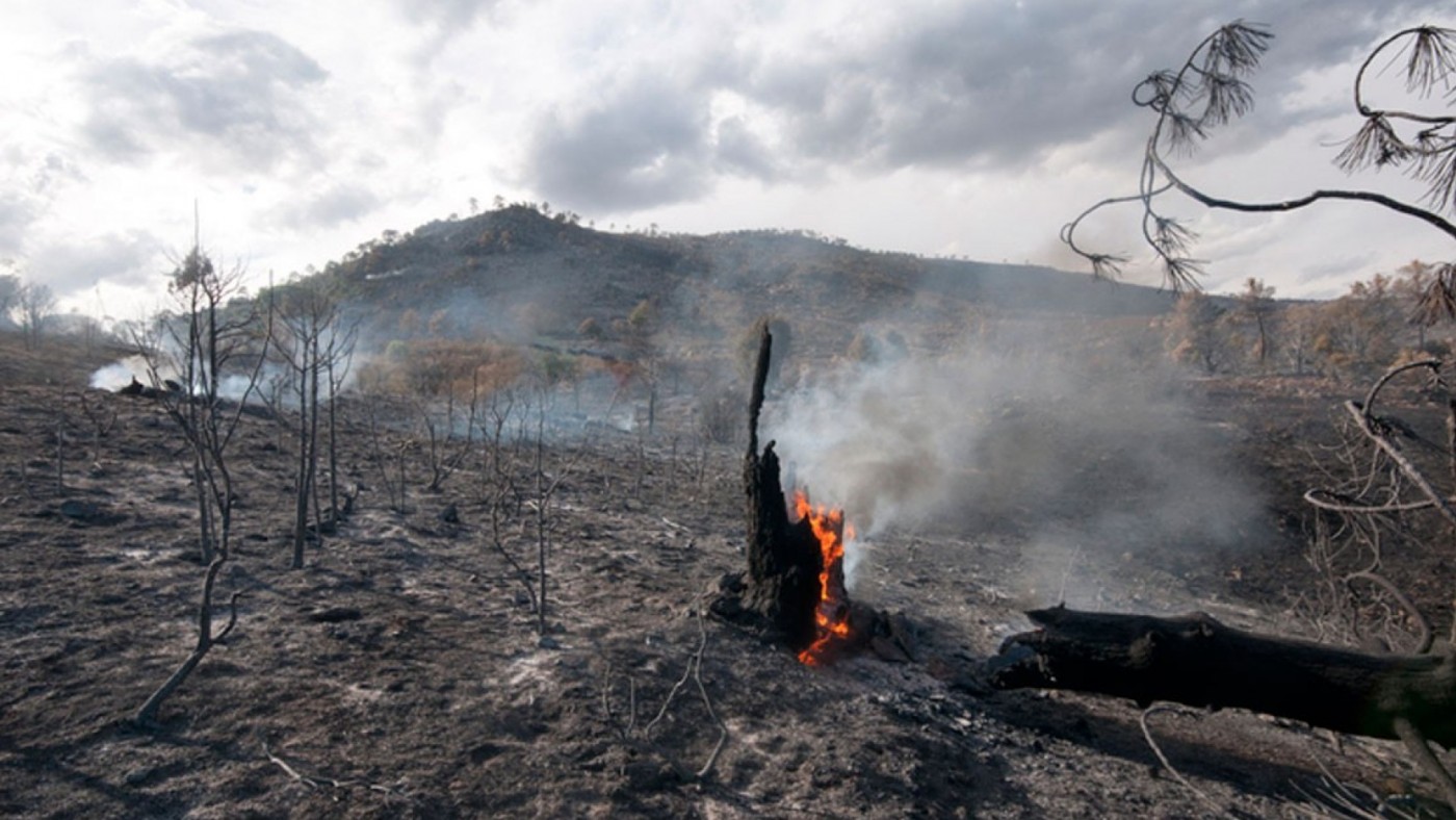 UGT pide al Gobierno Leyes Básicas para Bomberos, Agentes Forestales y Medioambientales 