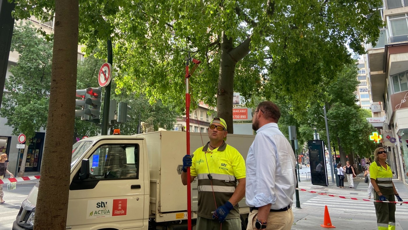 El Ayuntamiento de Murcia retira ramas bajas en aceras, carriles bici y vías de circulación
