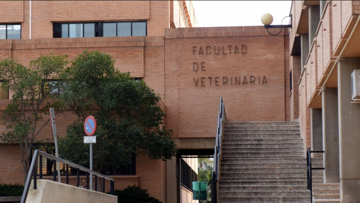 Veterinaria pone a la UMU en el Top-50 mundial