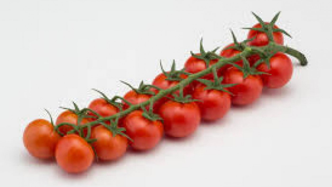 El convenio colectivo de manipulado y envasado de tomate afecta a 2.500 personas. Foto: CCOO