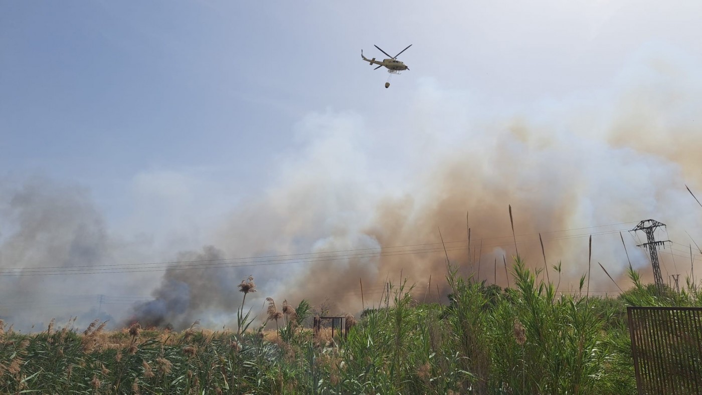 Los incendios forestales se multiplican este verano