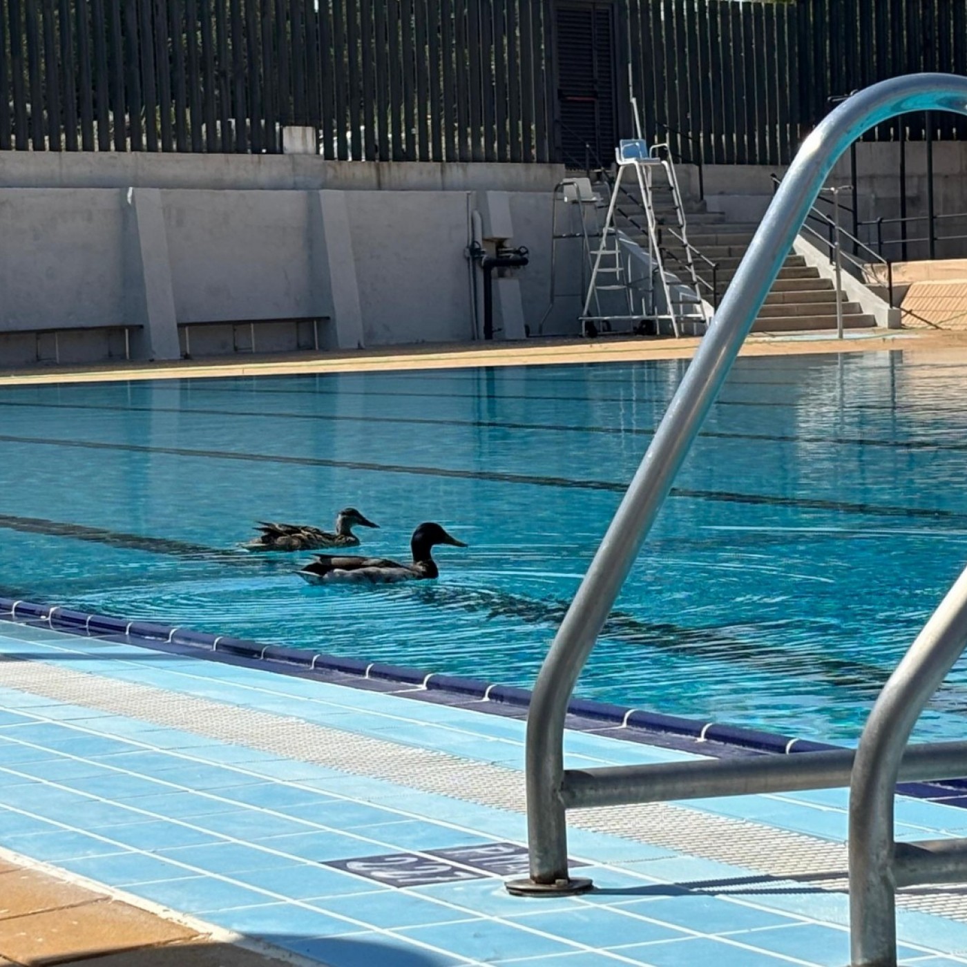 EL MIRADOR T06C189 Murcia inicia la apertura de sus piscinas municipales el 9 de junio con un aumento de plazas y refuerzo en seguridad (02/06/2026) episode artwork