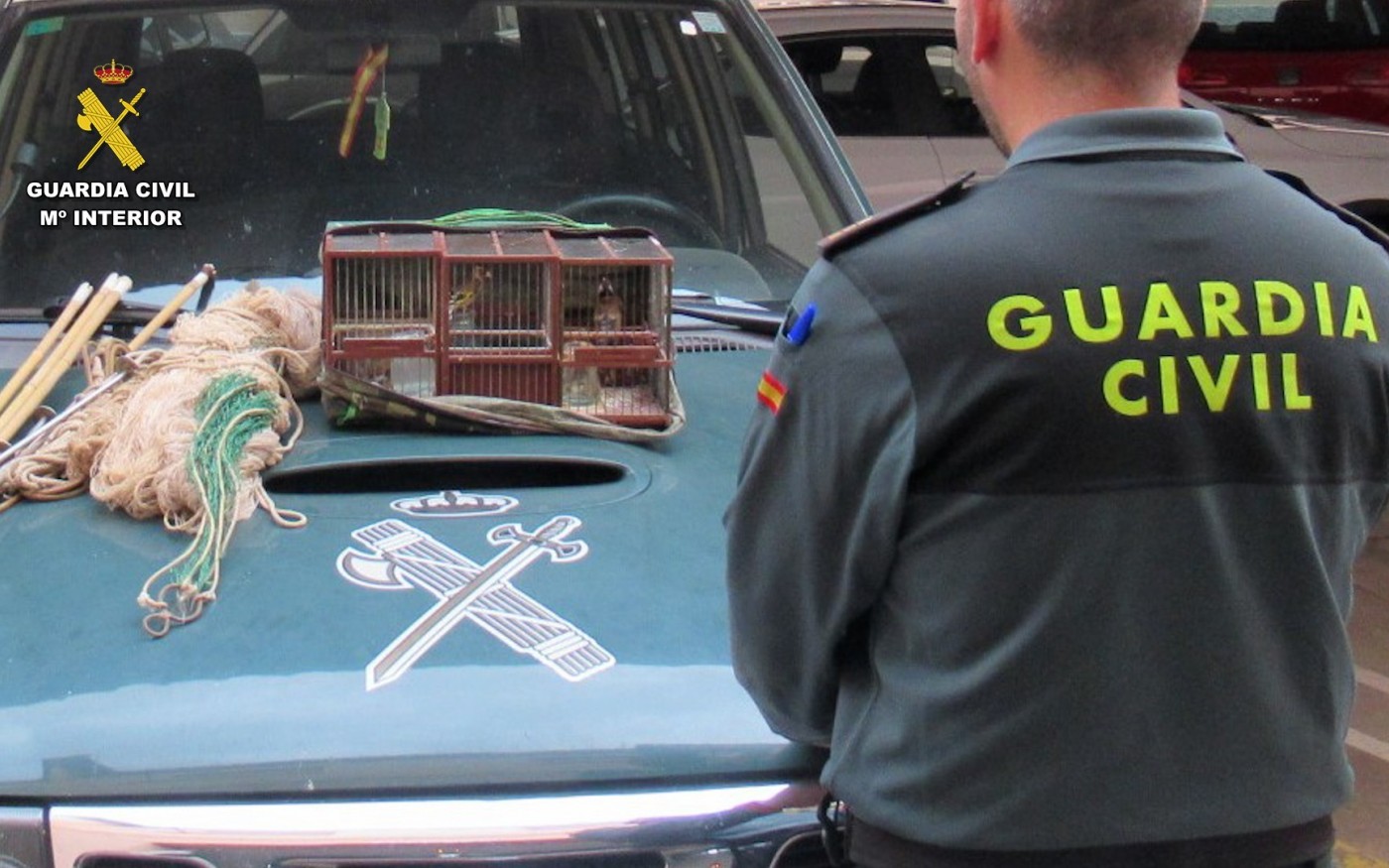 Detienen a un cazador furtivo en Águilas capturando aves silvestres