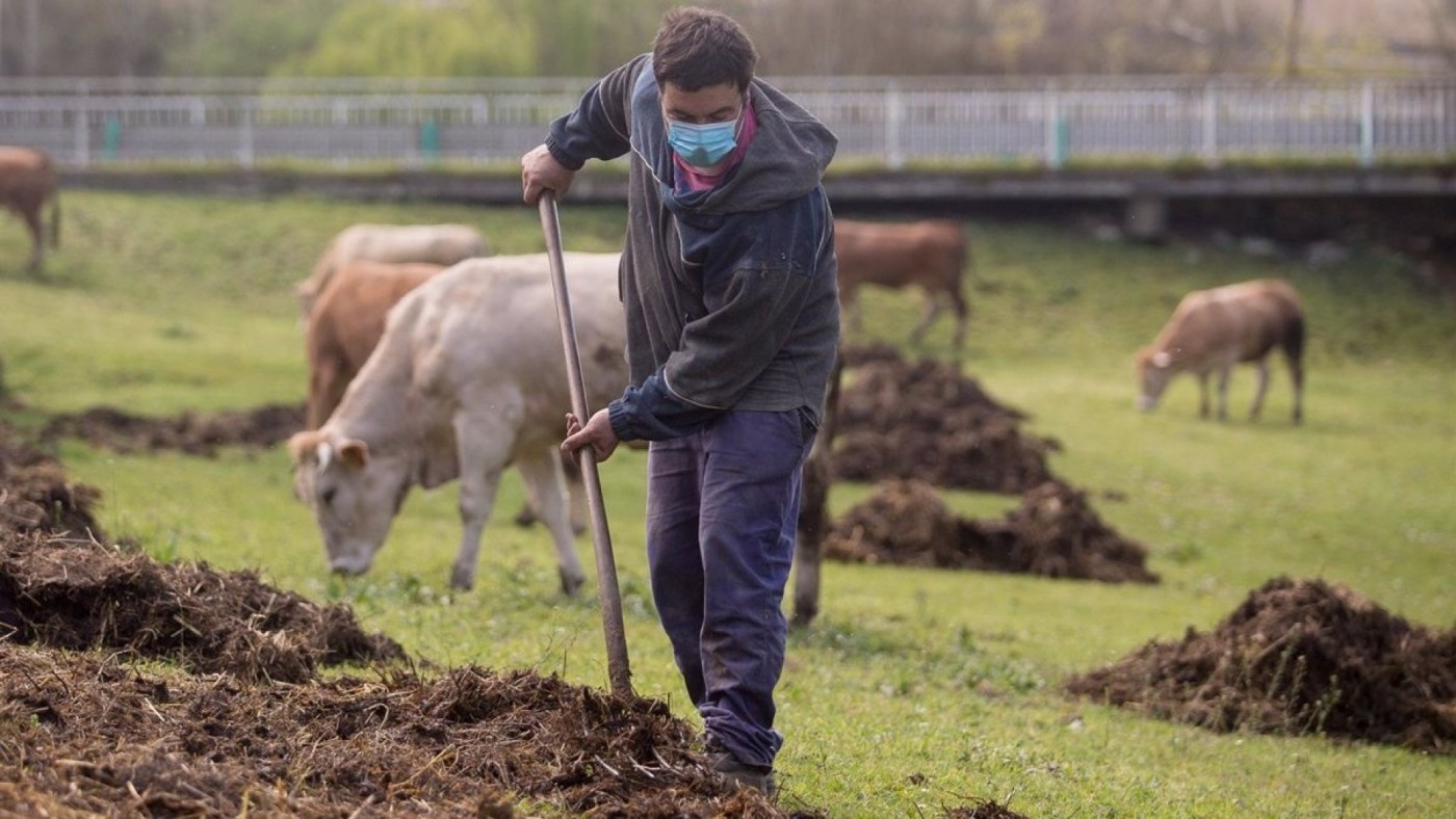 UPA insta al Gobierno regional a conceder ayudas a productores por los altos costes de producción