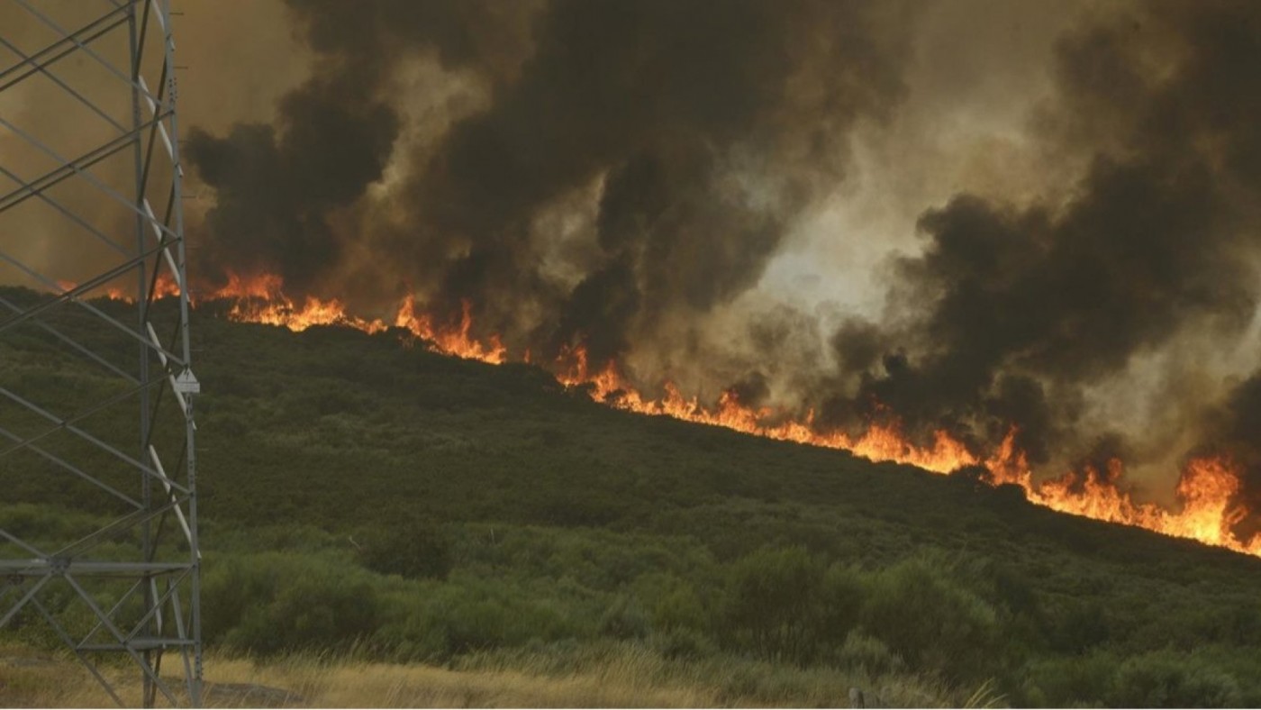 Neumólogos alertan: el humo de los incendios agrava las enfermedades respiratorias y cardiovasculares
