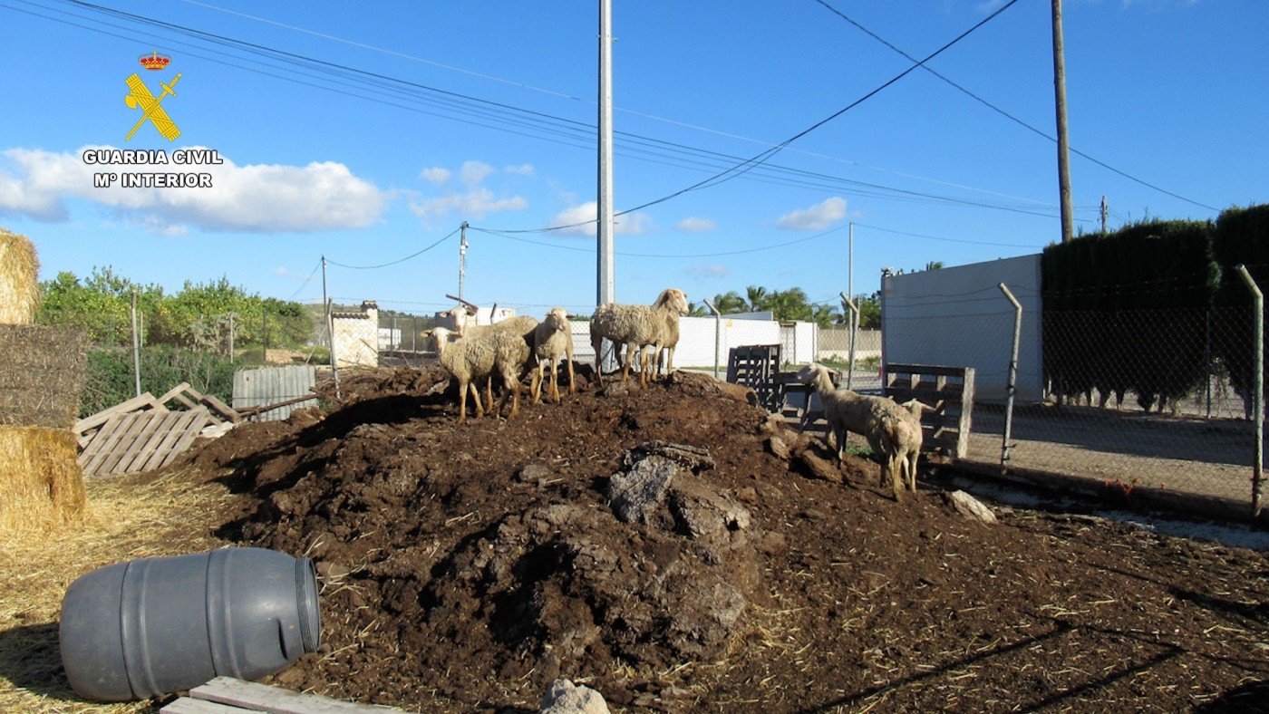 La Guardia Civil detiene a dos personas por robos en explotaciones ganaderas en Murcia