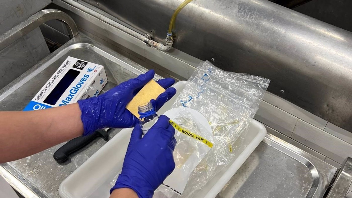 Sube la incidencia de la salmonelosis pese a triplicarse el número de análisis preventivos