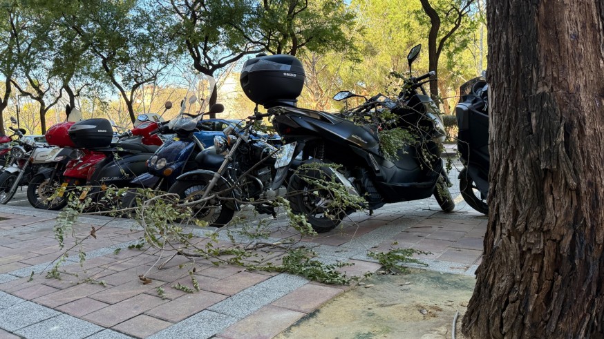 Jornada ventosa en la Región de Murcia, con rachas de hasta 91 km/h