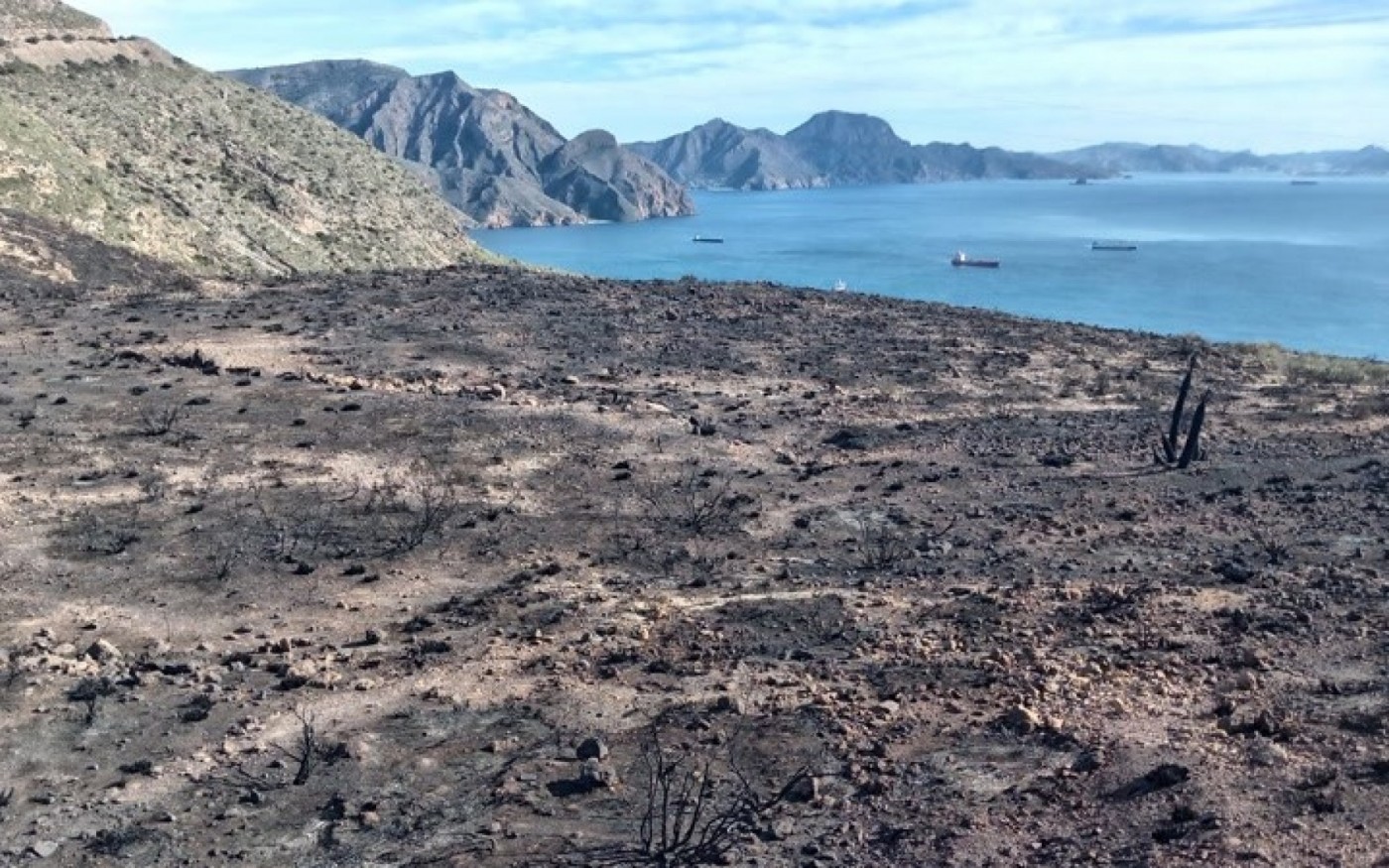 GALERÍA | Las imágenes del incendio de Cabo Tiñoso