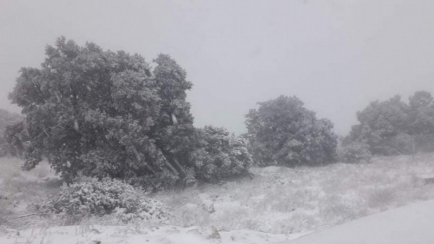 La nieve llega al Collao Bermejo y el Morrón de Espuña
