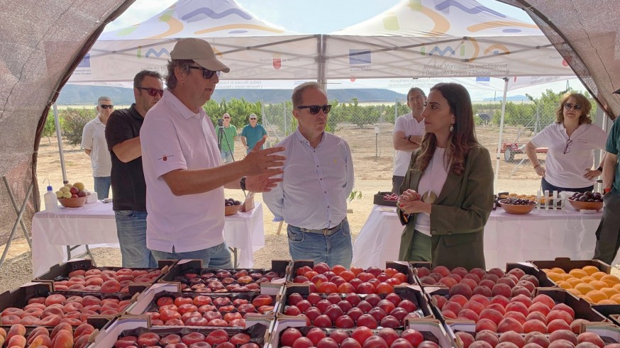 La Región de Murcia se reafirma como potencia en el desarrollo de nuevas variedades de fruta de hueso de alta calidad