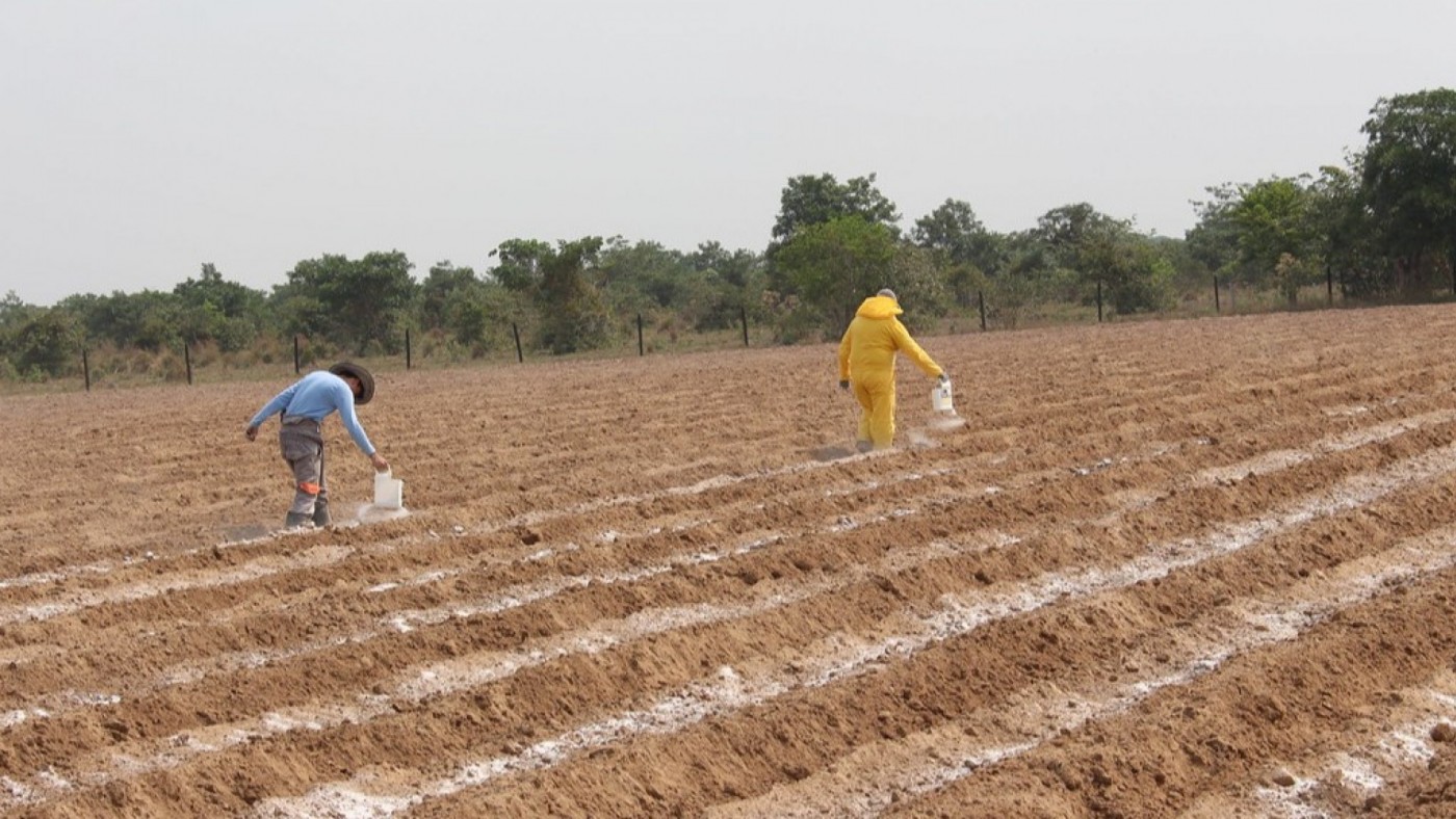 La falta de planificación y el clima, principales amenazas para la agricultura en la Región