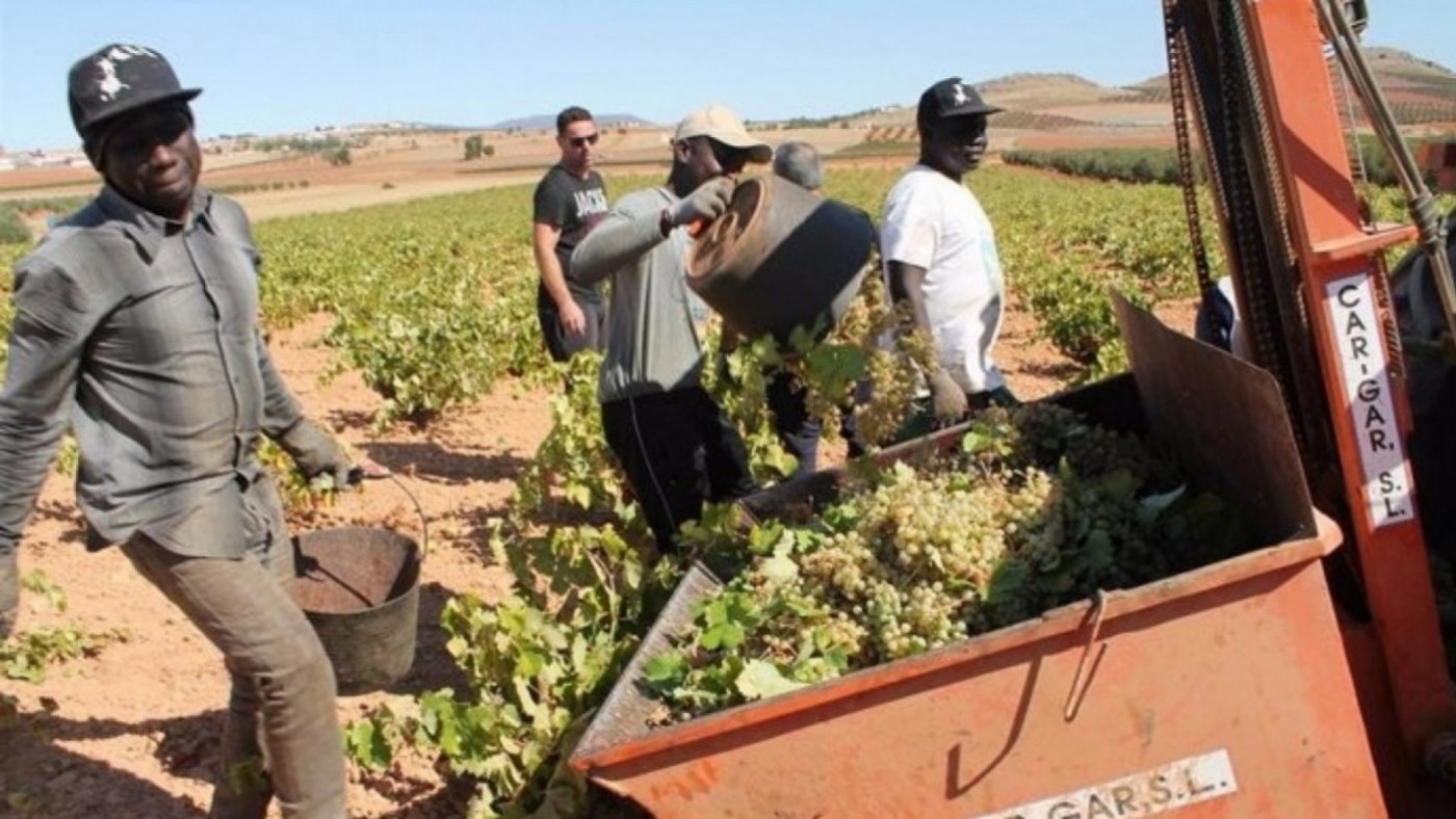 La inmigración mejora el mercado laboral según FUNCAS