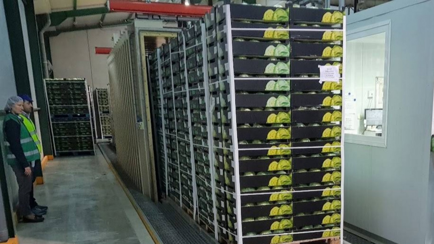Los empresarios hortofrutícolas lorquinos reanudan con precaución los desplazamientos al centro de Europa