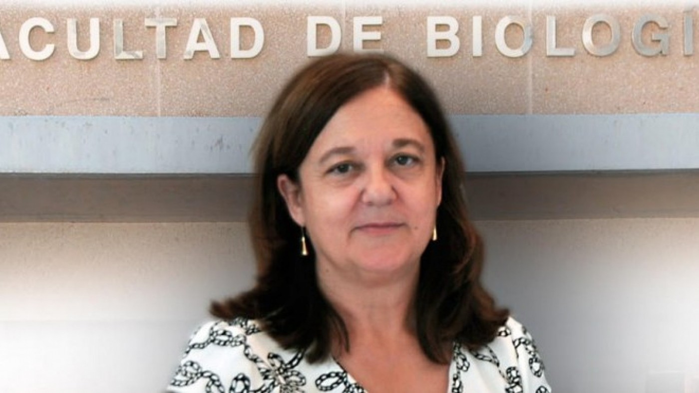 Alfonsa García presentará su candidatura a rectora de la Universidad de Murcia