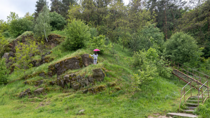 La magia de las plantas. Excursiones alpinas y jardines botánicos.
