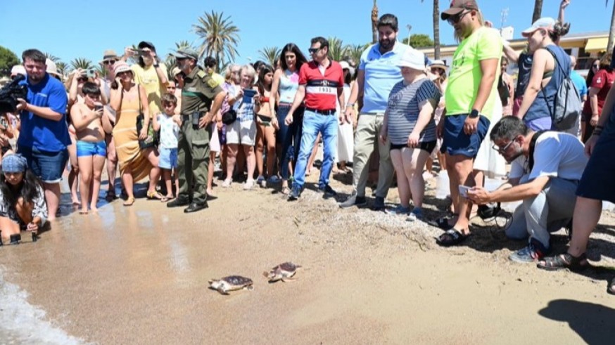 30 tortugas bobas liberadas en Isla Plana, en Cartagena