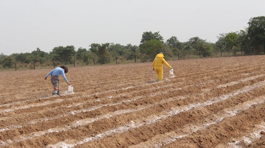La falta de planificación y el clima, principales amenazas para la agricultura en la Región