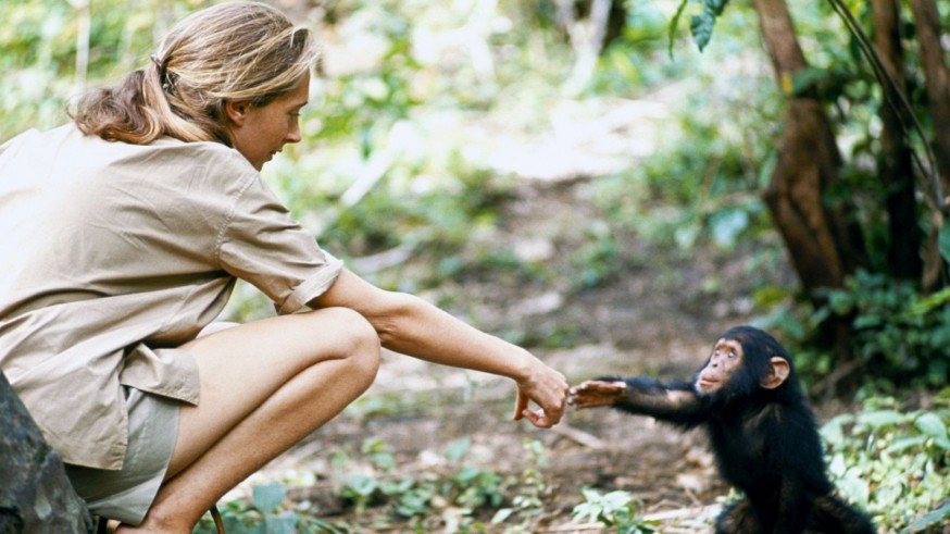 Muere la etóloga de 91 años Jane Goodall