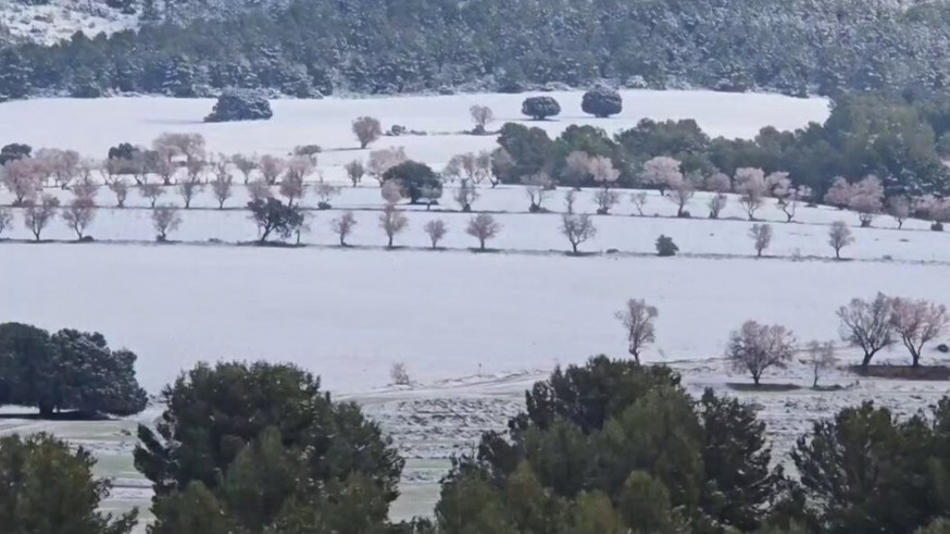 El granizo amenaza la campaña del almendro en el Noroeste