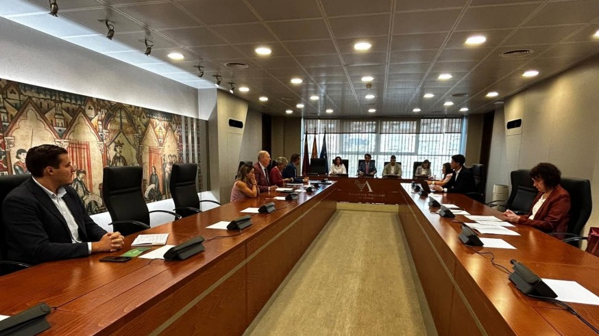 PSOE, Vox y Grupo Mixto rechazan el dictamen de la Comisión de Infancia de la Asamblea Regional