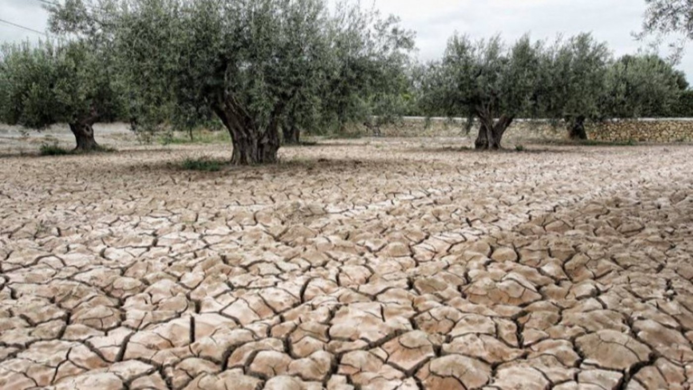 Murcia es la segunda comunidad con menores bonificaciones para la contratación del seguro agrario