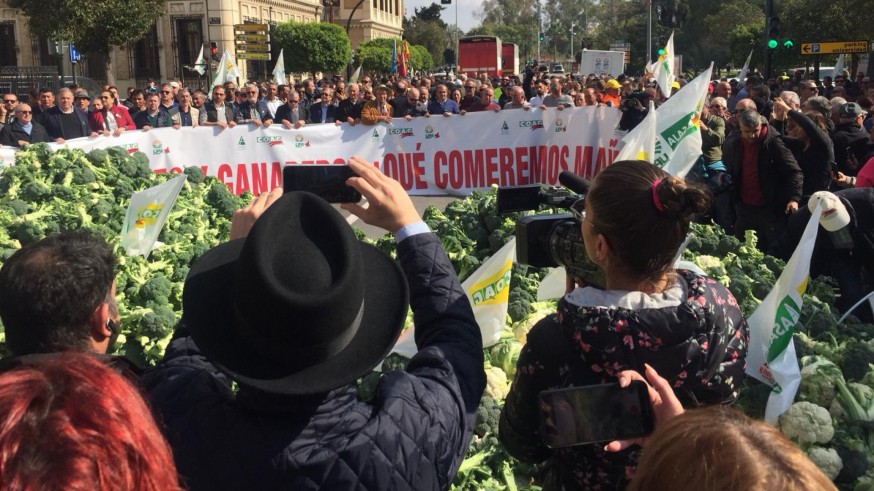 VÍDEO | Descargan dos camiones de brócoli frente a la Delegación del Gobierno
