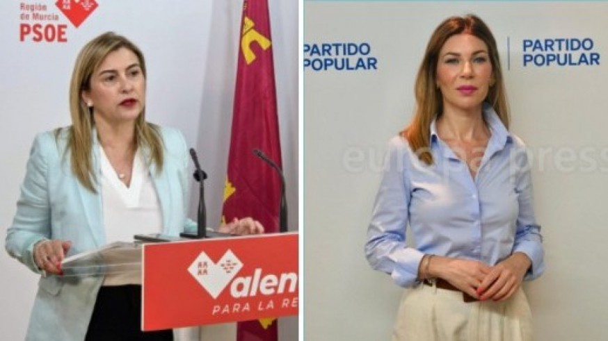El PSOE registra solicitudes de información sobre la trama de las prótesis y exige explicaciones a Salud