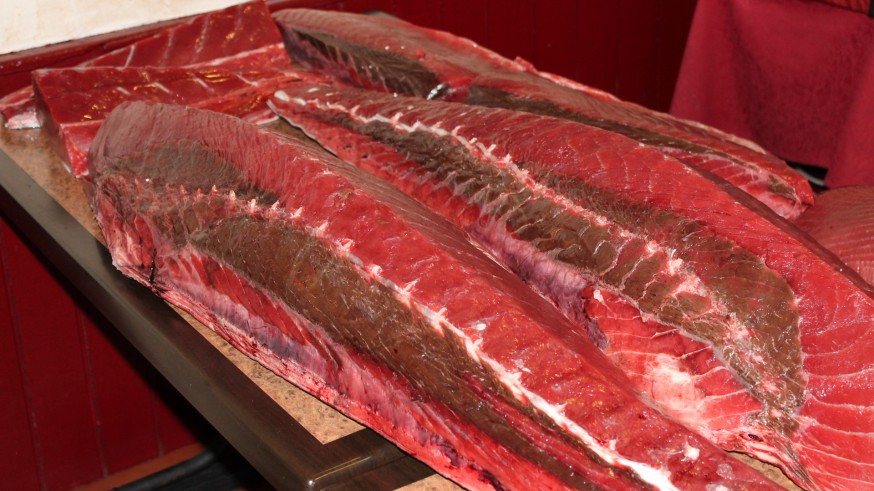 Crece la producción de atún rojo en la Región de Murcia en 1´3 toneladas de 2019 a 2020